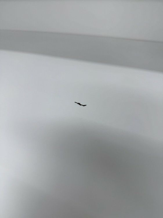 コクヨ両開き上下書庫 商品画像8