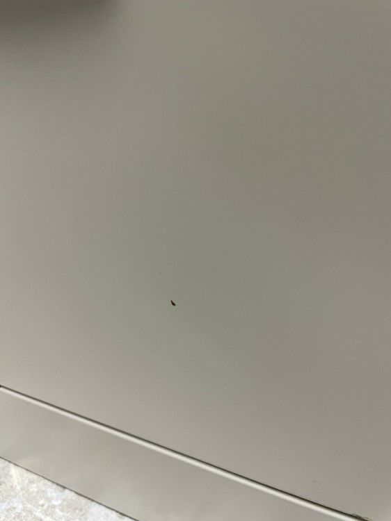 SEIKO/セイコーSLBシューズロッカーシリーズ 24人用シューズロッカー 商品画像9