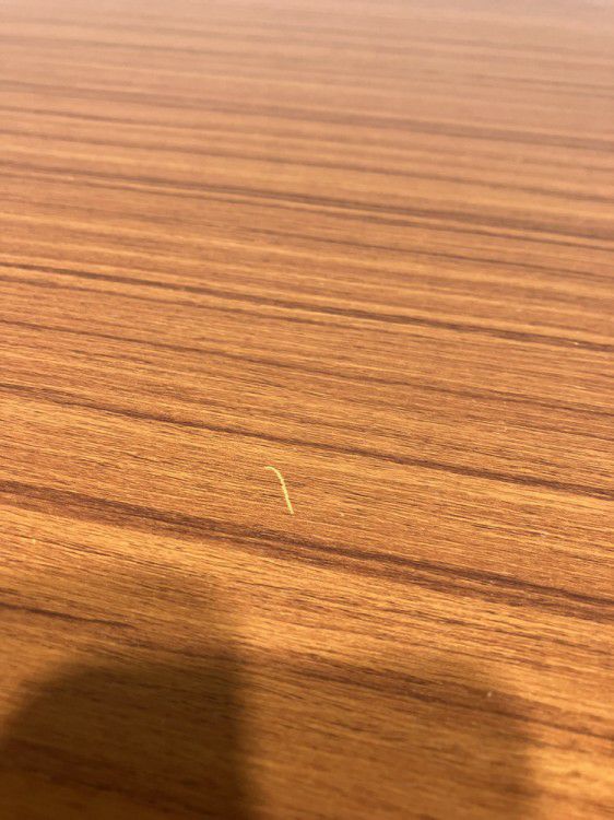 折畳会議テーブル 商品画像7