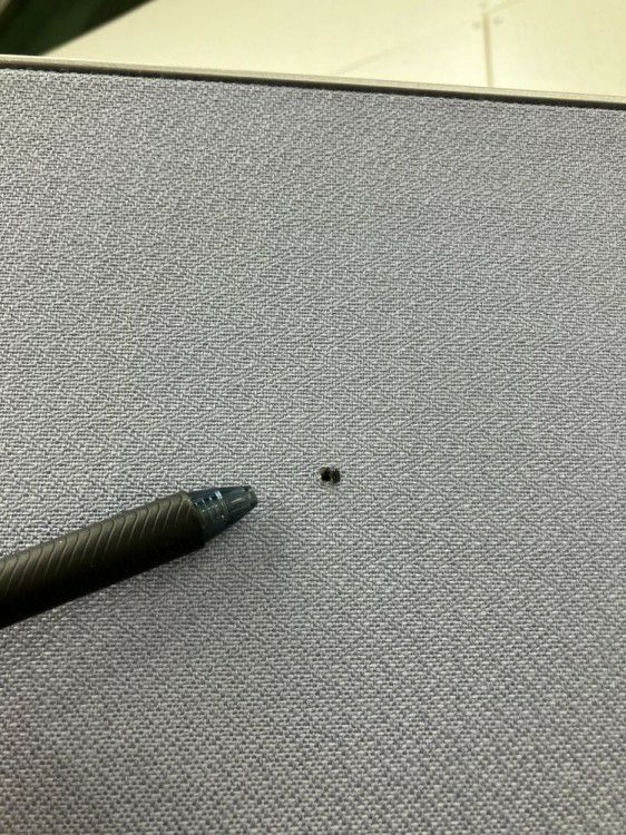 オカムラ自立パーテーション 商品画像7