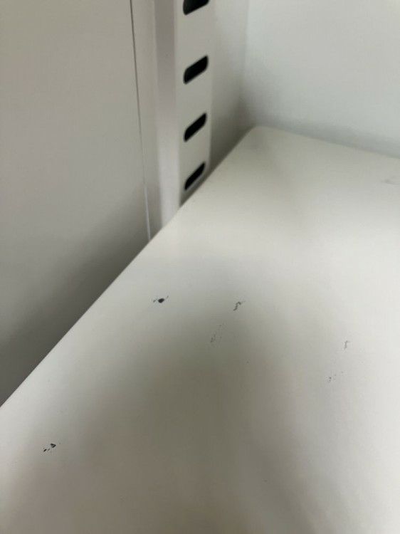 SEIKO FAMILY（生興） 引違い・ガラス引違い上下書庫 商品画像8