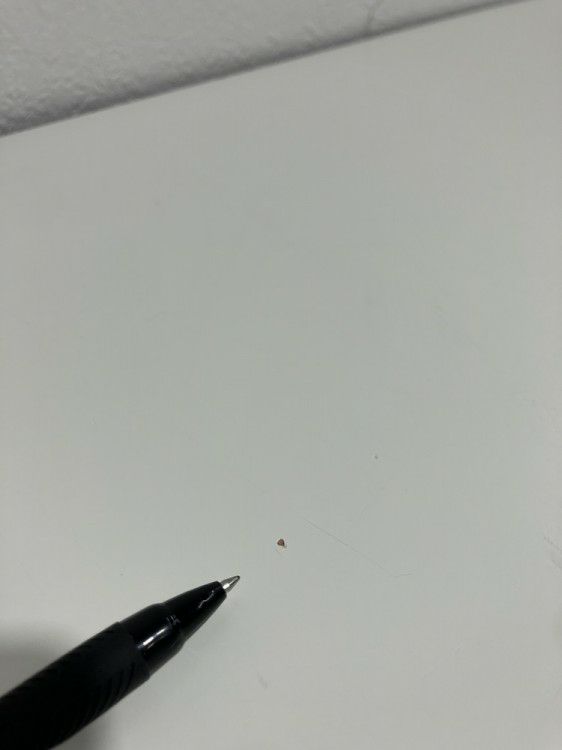 サカエ作業台 商品画像7