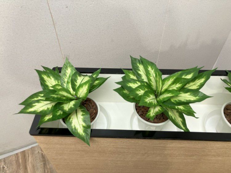 プランターボックス 商品画像4