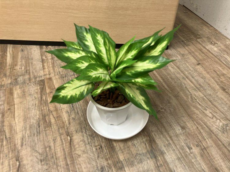 プランターボックス 商品画像5