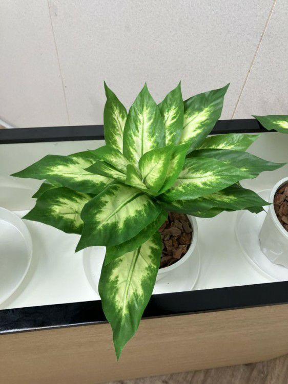 プランターボックス 商品画像8