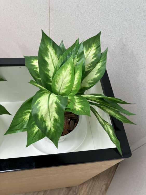 プランターボックス 商品画像9