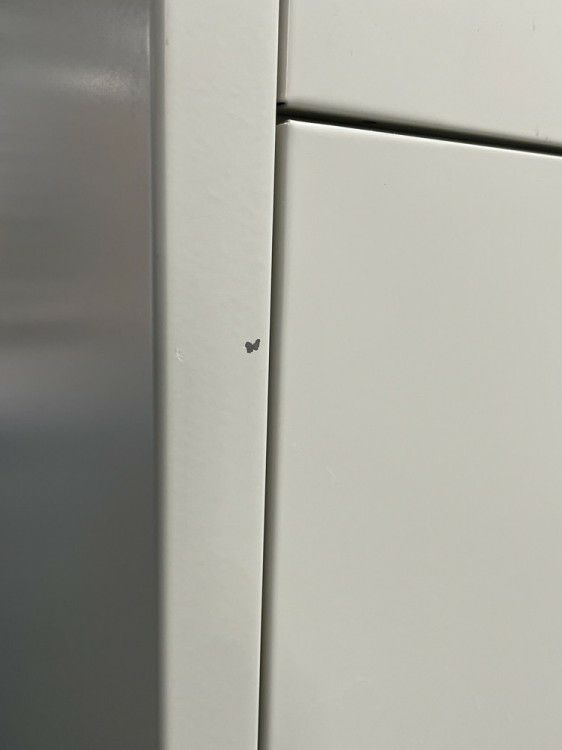 ムゲンドウ6人用ロッカー 商品画像10