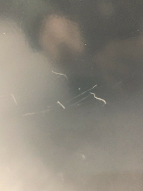 USMハラー ROLLBOY(ロールボーイ) インワゴン 商品画像24