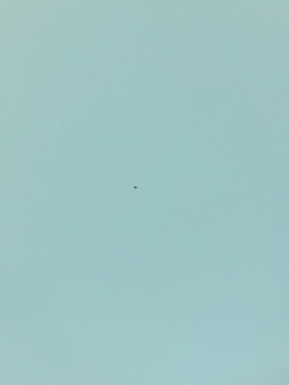 コクヨ折畳パイプイス 商品画像12