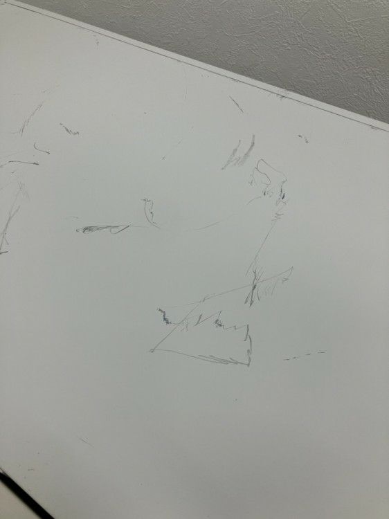 ナイキCW型シリーズ 両開き書庫 商品画像7