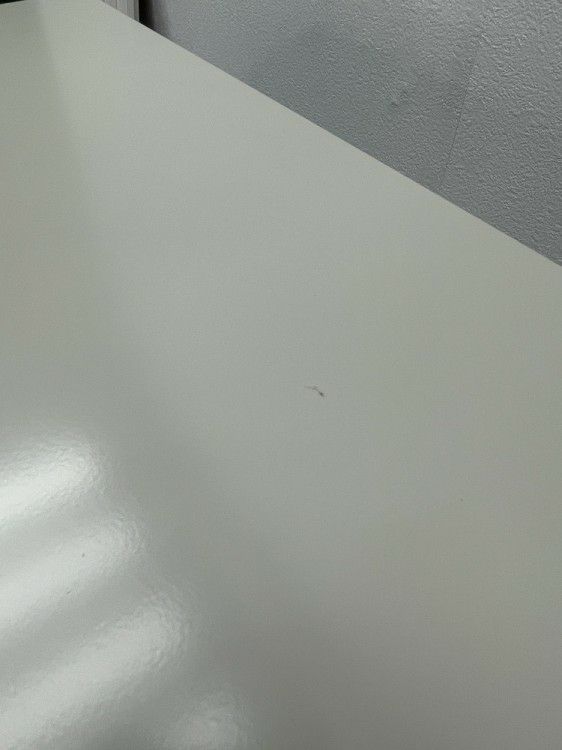 ウチダ（内田洋行）24人用シューズボックス 商品画像11