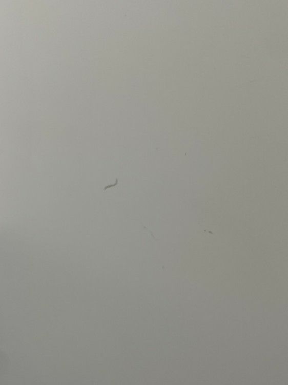 プラスM型ロッカーシリーズ 4人用パーソナルロッカー 商品画像14