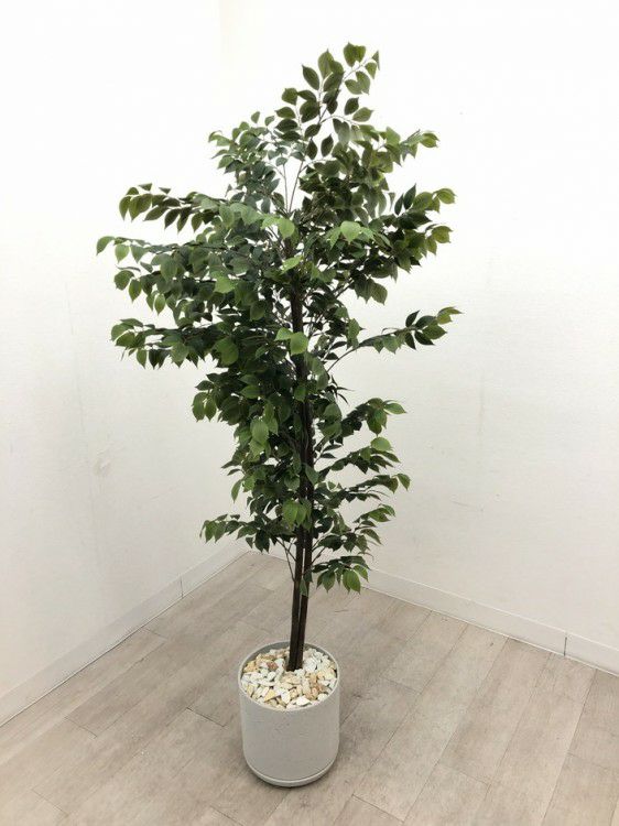 フェイクグリーン 商品画像1