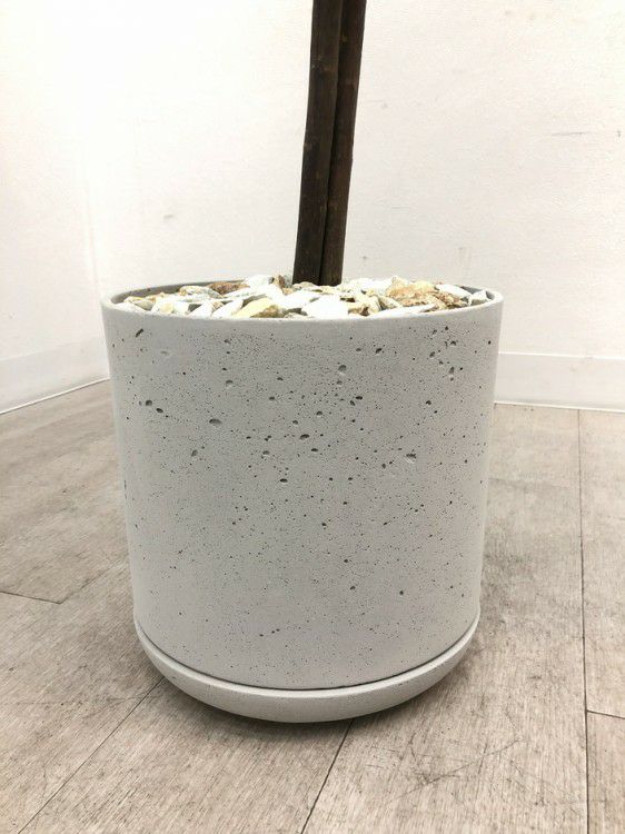 フェイクグリーン 商品画像5