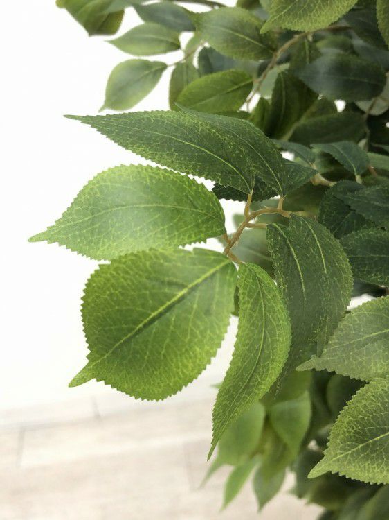 フェイクグリーン 商品画像6