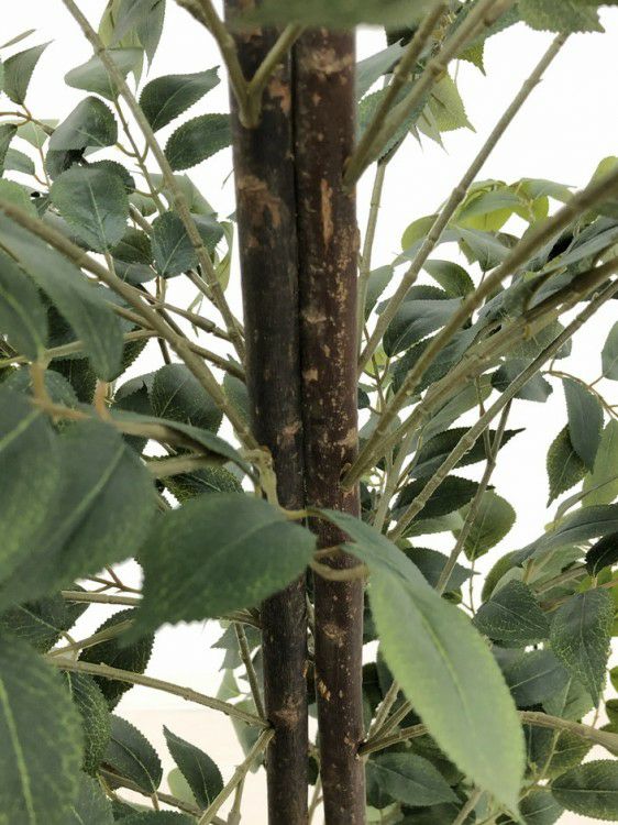 フェイクグリーン 商品画像7