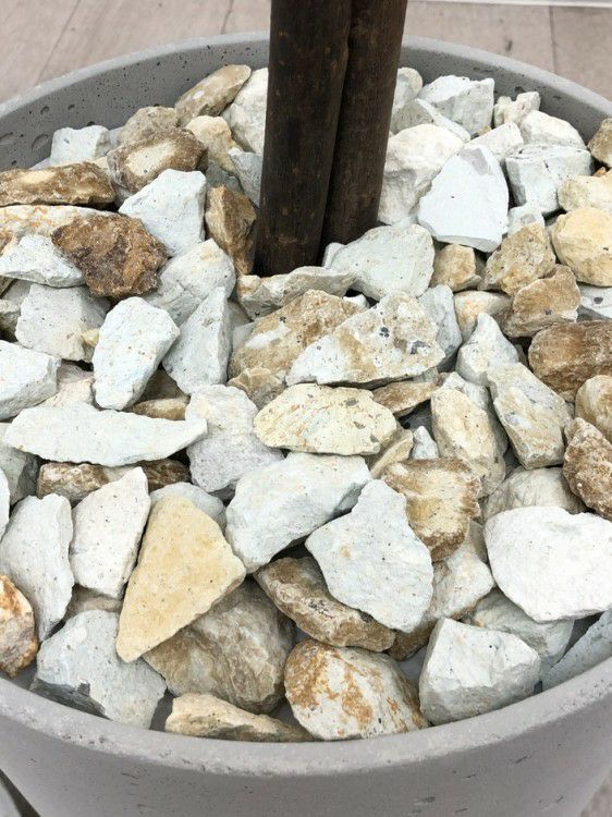 フェイクグリーン 商品画像8