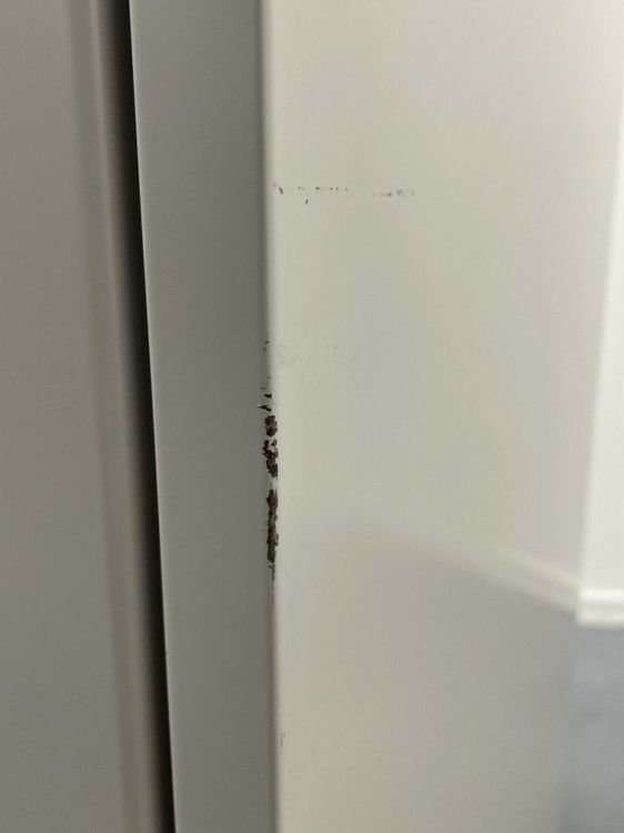 イトーキ1人用ロッカー 商品画像13