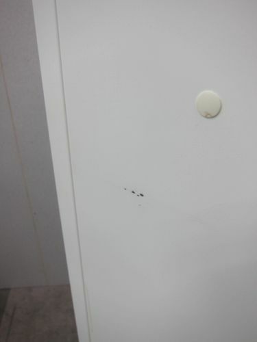 オカムラレクトラインシリーズ 天板付き両開き書庫 商品画像8