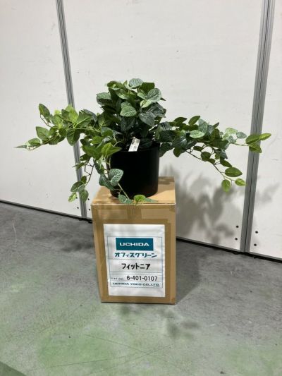 ウチダ（内田洋行）人工植物 商品画像1