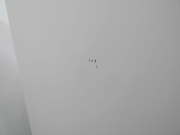 SEIKO FAMILY（生興） 天板付A4クリアケース書庫 商品画像6