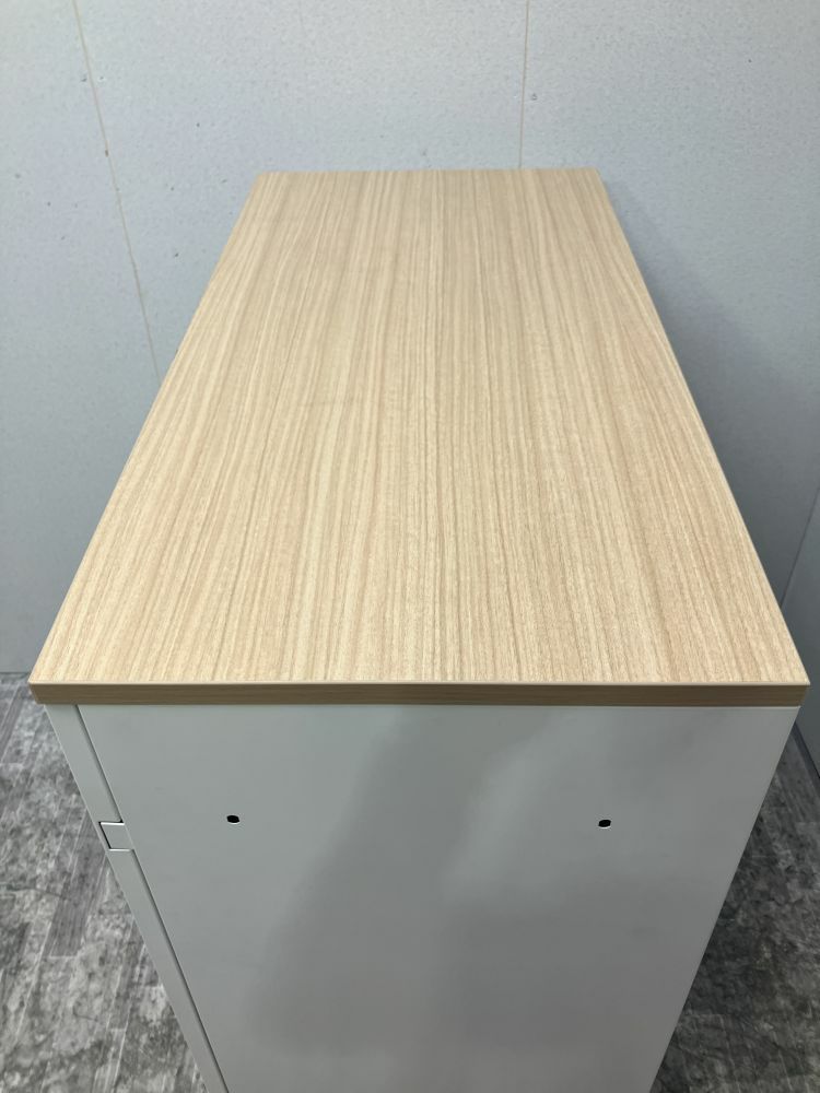 イトーキeSキャビネット(エスキャビネット)シリーズ 両開き書庫 商品画像4