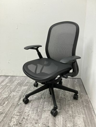 Knoll（ノール）可動肘付チャドウィックチェア 商品画像1