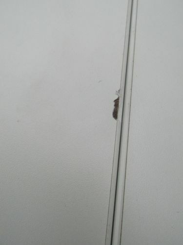 HermanMiller（ハーマンミラー）アバックシリーズ 3200ミーティングテーブル 商品画像8